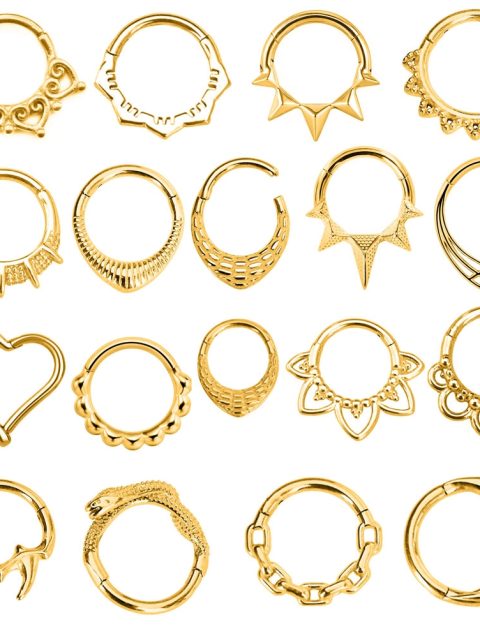 Flower Snake Heart Moon Waterdrop Helix Septum Piercing Teardrop Tusk Daith Conch Hoop Earring Clicker Segment Nose Rings 16G