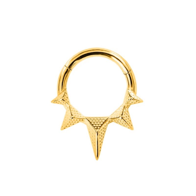 Flower Snake Heart Moon Waterdrop Helix Septum Piercing Teardrop Tusk Daith Conch Hoop Earring Clicker Segment Nose Rings 16G - Image 4