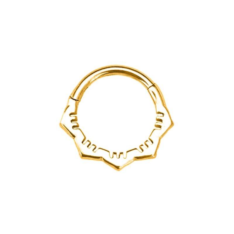 Flower Snake Heart Moon Waterdrop Helix Septum Piercing Teardrop Tusk Daith Conch Hoop Earring Clicker Segment Nose Rings 16G - Image 11