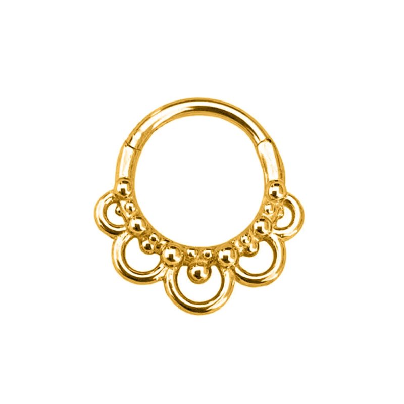 Flower Snake Heart Moon Waterdrop Helix Septum Piercing Teardrop Tusk Daith Conch Hoop Earring Clicker Segment Nose Rings 16G - Image 17