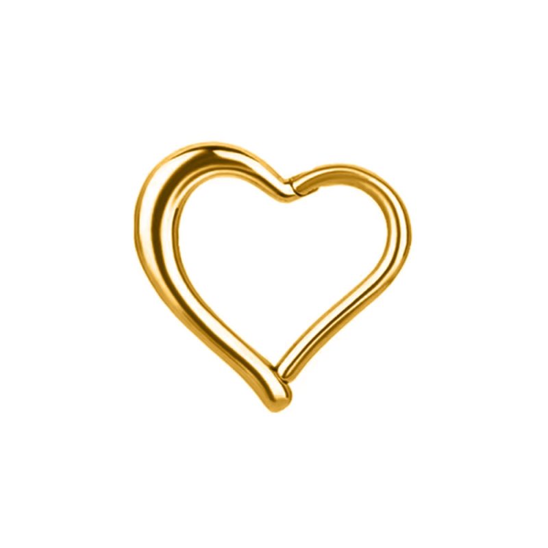 Flower Snake Heart Moon Waterdrop Helix Septum Piercing Teardrop Tusk Daith Conch Hoop Earring Clicker Segment Nose Rings 16G - Image 19