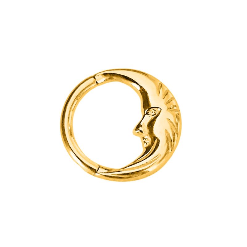 Flower Snake Heart Moon Waterdrop Helix Septum Piercing Teardrop Tusk Daith Conch Hoop Earring Clicker Segment Nose Rings 16G - Image 22