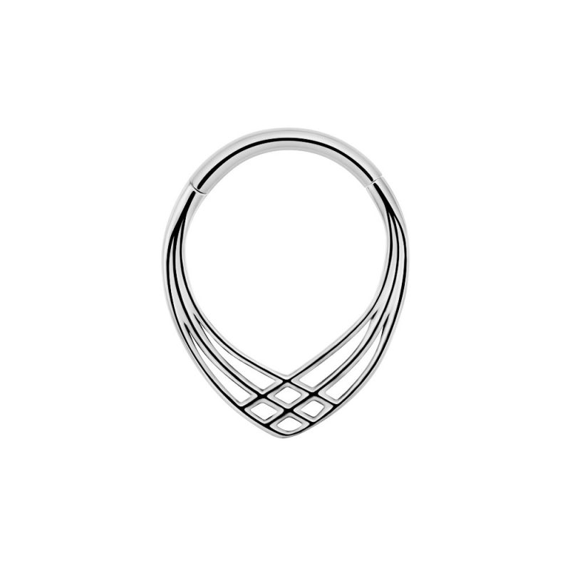 Flower Snake Heart Moon Waterdrop Helix Septum Piercing Teardrop Tusk Daith Conch Hoop Earring Clicker Segment Nose Rings 16G - Image 23