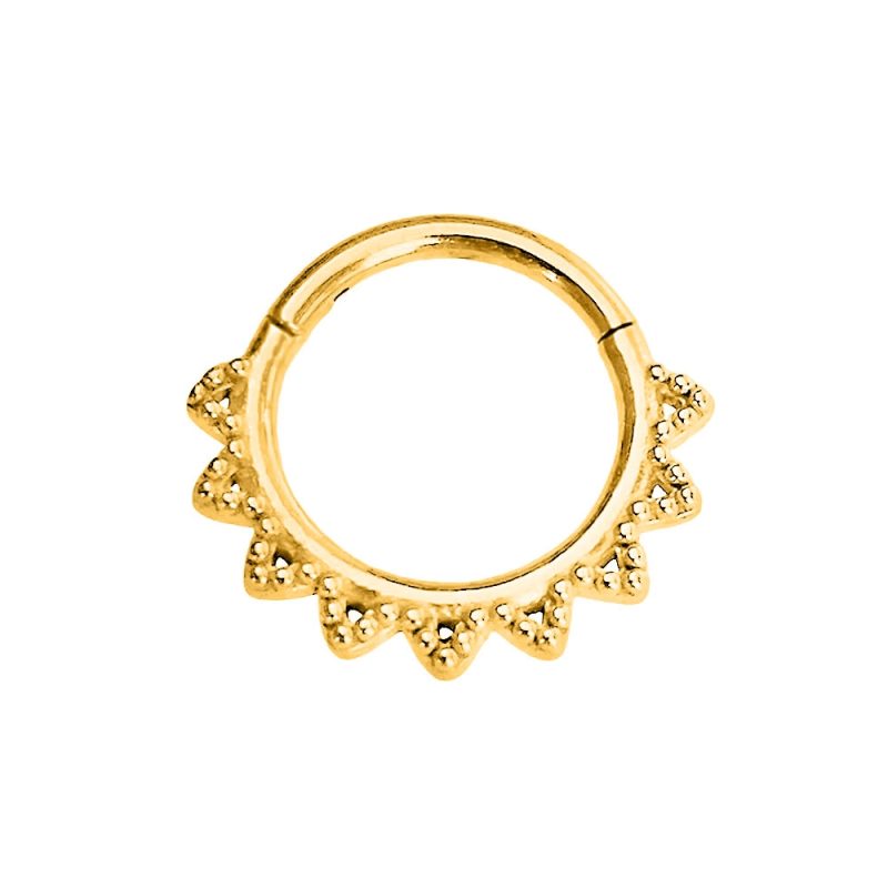 Flower Snake Heart Moon Waterdrop Helix Septum Piercing Teardrop Tusk Daith Conch Hoop Earring Clicker Segment Nose Rings 16G - Image 25