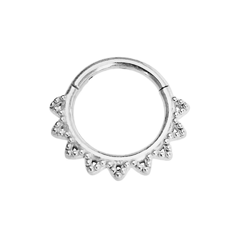 Flower Snake Heart Moon Waterdrop Helix Septum Piercing Teardrop Tusk Daith Conch Hoop Earring Clicker Segment Nose Rings 16G - Image 26