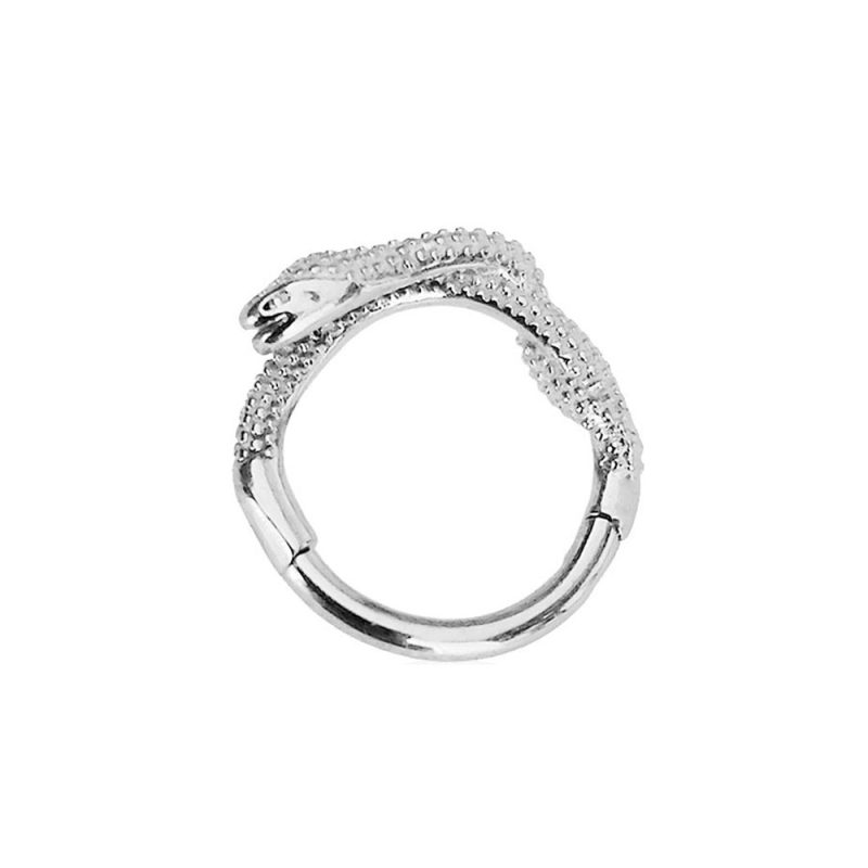 Flower Snake Heart Moon Waterdrop Helix Septum Piercing Teardrop Tusk Daith Conch Hoop Earring Clicker Segment Nose Rings 16G - Image 28