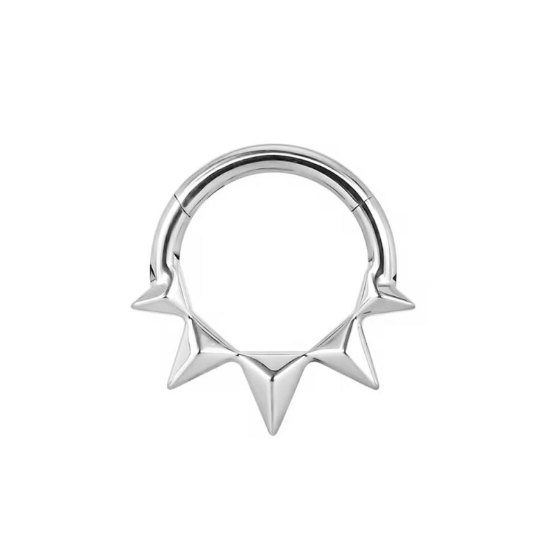 Flower Snake Heart Moon Waterdrop Helix Septum Piercing Teardrop Tusk Daith Conch Hoop Earring Clicker Segment Nose Rings 16G - Image 29