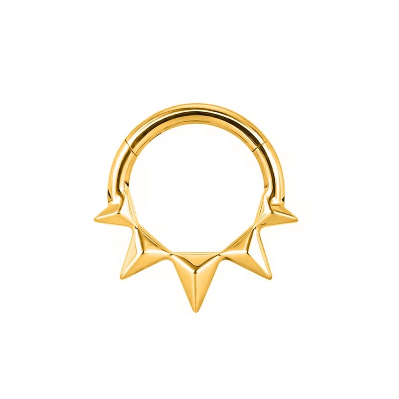 Flower Snake Heart Moon Waterdrop Helix Septum Piercing Teardrop Tusk Daith Conch Hoop Earring Clicker Segment Nose Rings 16G - Image 31