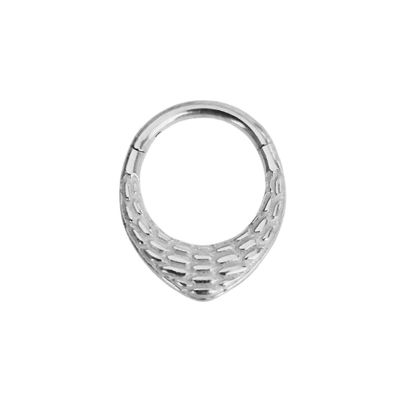 Flower Snake Heart Moon Waterdrop Helix Septum Piercing Teardrop Tusk Daith Conch Hoop Earring Clicker Segment Nose Rings 16G - Image 32