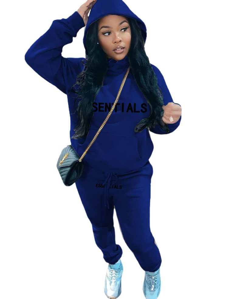 Hoodies Set for Women Suit Hoodie and Sweat Pants Set Zip V Long Sleeve Sport 2 Piece Set Women Tracksuit Joggers Sweat - Image 5