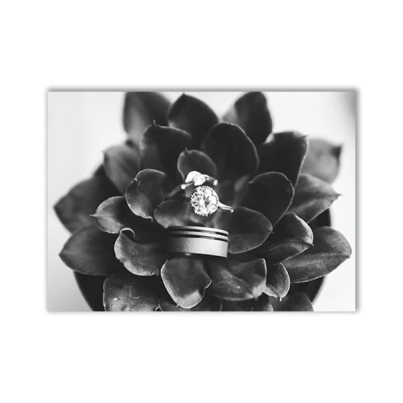 Fashion Black And White Sexy Poster Flower Women Motivational Text Canvas Wall Art Prints Abstract Painting Wall Hanging Decor - Image 10