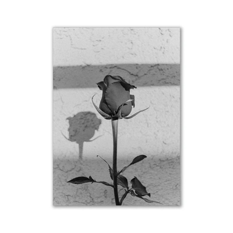 Fashion Black And White Sexy Poster Flower Women Motivational Text Canvas Wall Art Prints Abstract Painting Wall Hanging Decor - Image 16