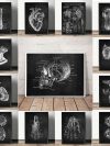 Anatomy Art White and Black Medical Canvas Painting Flower Organ Cardio Lung Poster Printing Education Hospital Home Decor