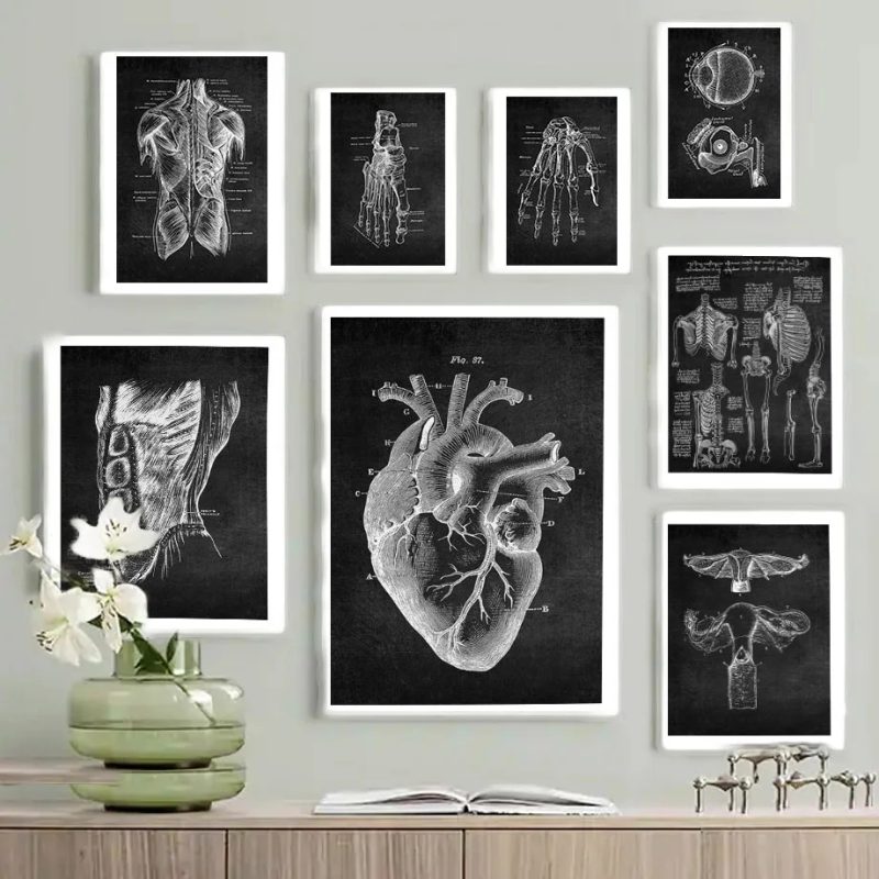 Anatomy Art White and Black Medical Canvas Painting Flower Organ Cardio Lung Poster Printing Education Hospital Home Decor - Image 2