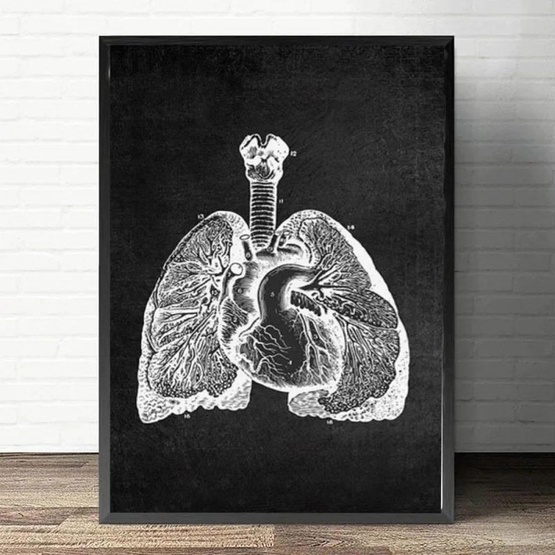 Anatomy Art White and Black Medical Canvas Painting Flower Organ Cardio Lung Poster Printing Education Hospital Home Decor - Image 3