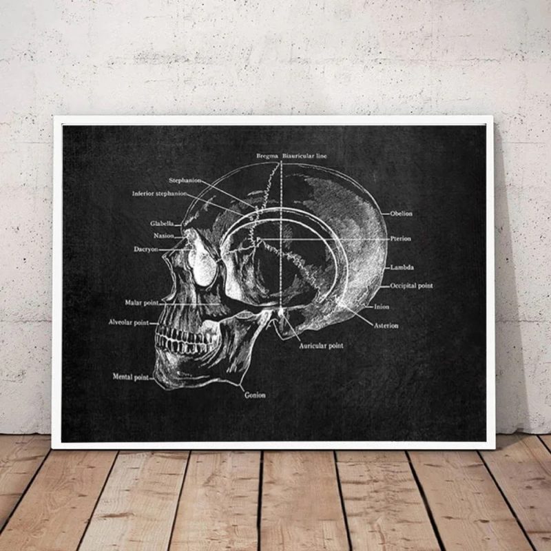 Anatomy Art White and Black Medical Canvas Painting Flower Organ Cardio Lung Poster Printing Education Hospital Home Decor - Image 4