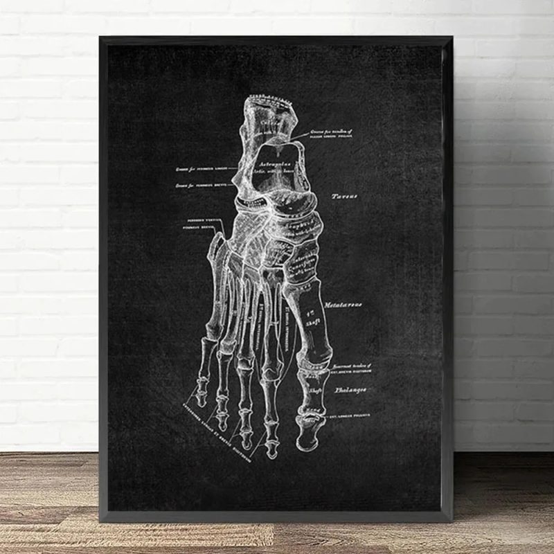 Anatomy Art White and Black Medical Canvas Painting Flower Organ Cardio Lung Poster Printing Education Hospital Home Decor - Image 7