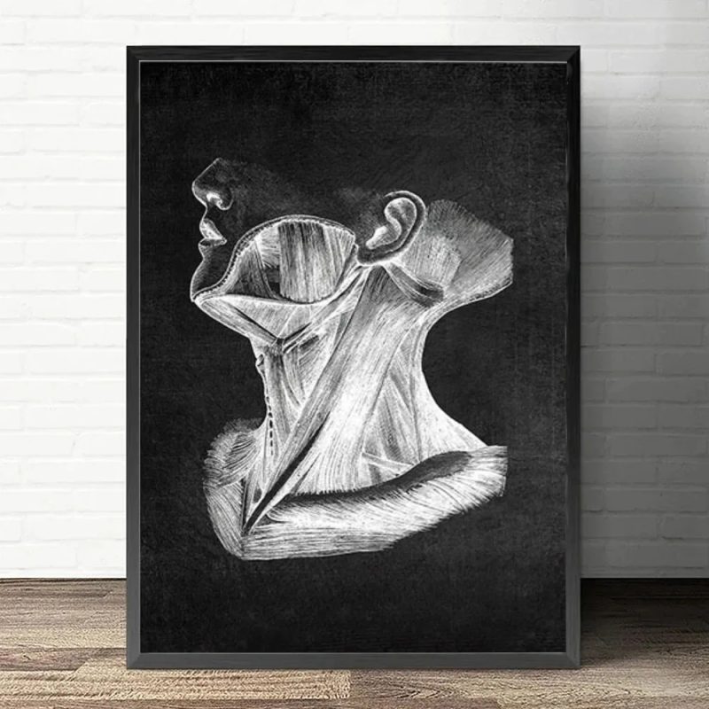 Anatomy Art White and Black Medical Canvas Painting Flower Organ Cardio Lung Poster Printing Education Hospital Home Decor - Image 8