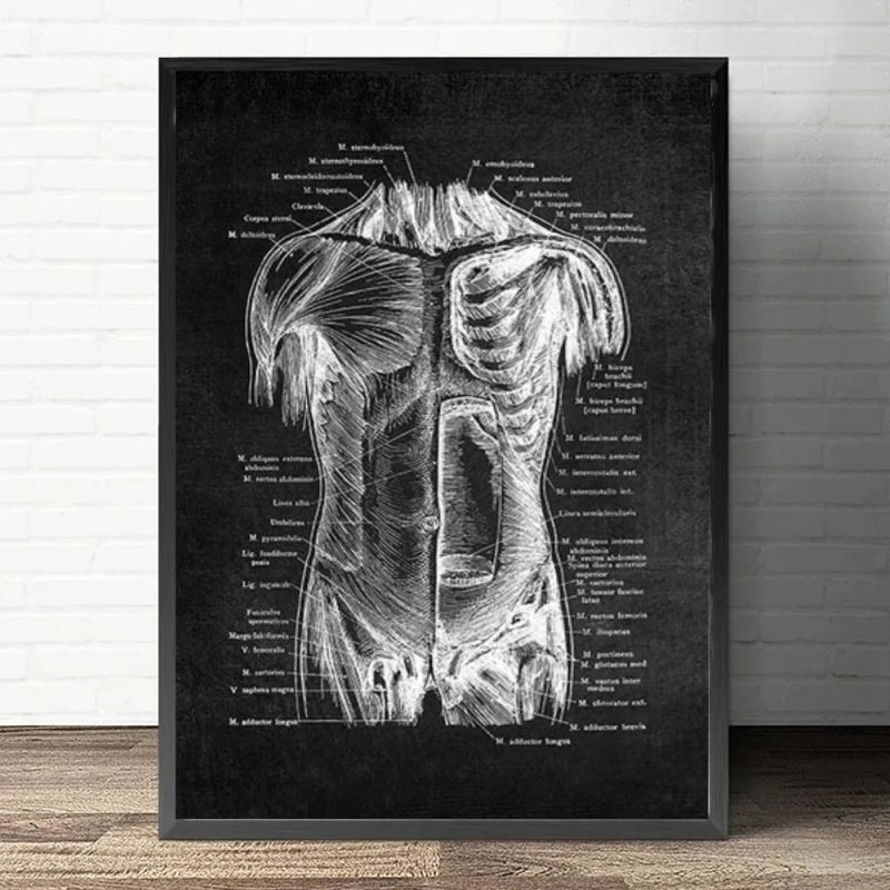 Anatomy Art White and Black Medical Canvas Painting Flower Organ Cardio Lung Poster Printing Education Hospital Home Decor - Image 9