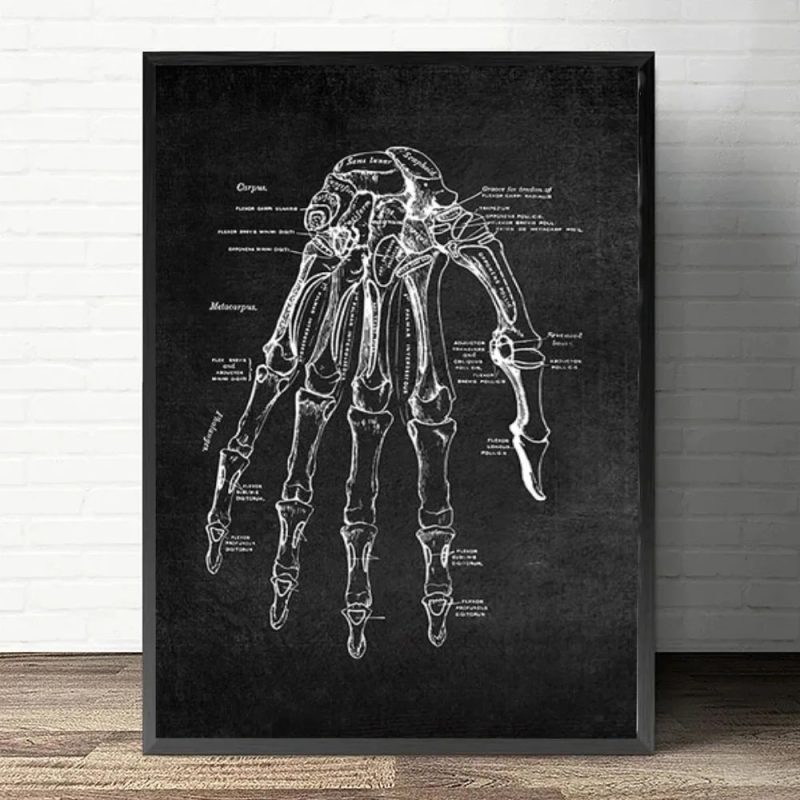 Anatomy Art White and Black Medical Canvas Painting Flower Organ Cardio Lung Poster Printing Education Hospital Home Decor - Image 10