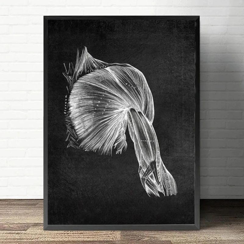 Anatomy Art White and Black Medical Canvas Painting Flower Organ Cardio Lung Poster Printing Education Hospital Home Decor - Image 11