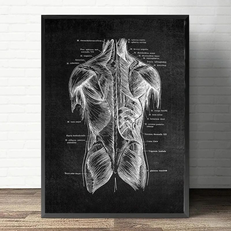Anatomy Art White and Black Medical Canvas Painting Flower Organ Cardio Lung Poster Printing Education Hospital Home Decor - Image 13