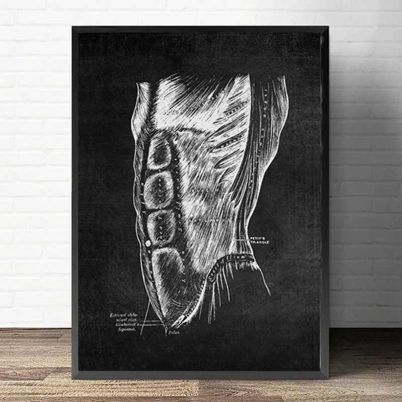 Anatomy Art White and Black Medical Canvas Painting Flower Organ Cardio Lung Poster Printing Education Hospital Home Decor - Image 14
