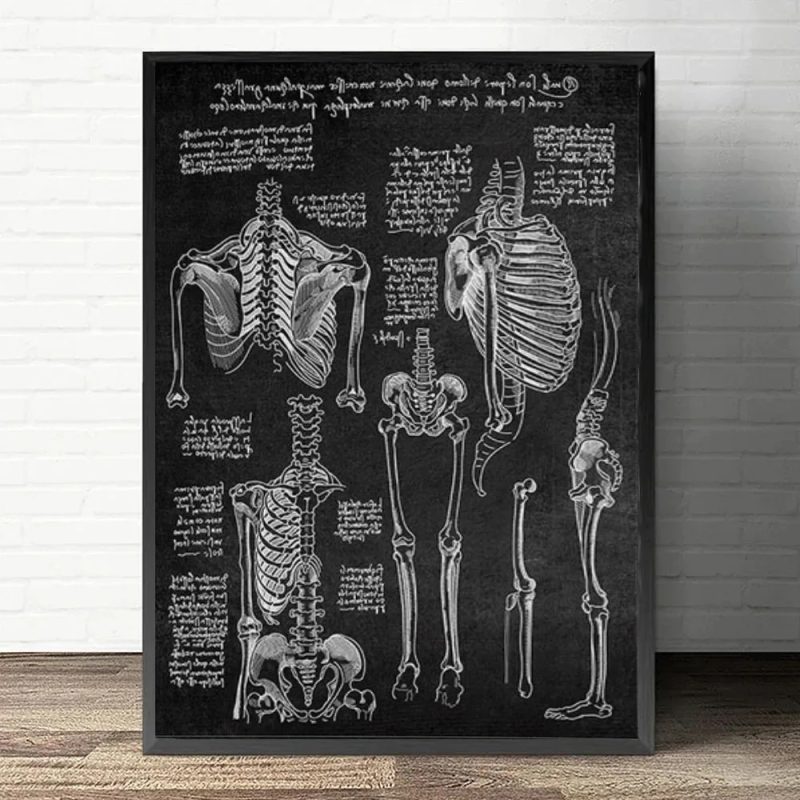 Anatomy Art White and Black Medical Canvas Painting Flower Organ Cardio Lung Poster Printing Education Hospital Home Decor - Image 15