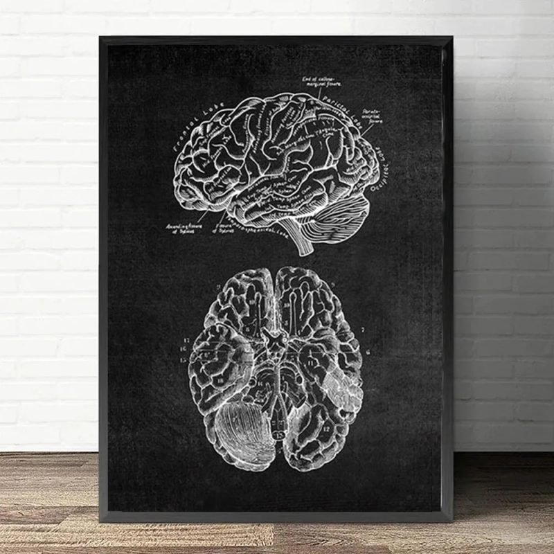 Anatomy Art White and Black Medical Canvas Painting Flower Organ Cardio Lung Poster Printing Education Hospital Home Decor - Image 16
