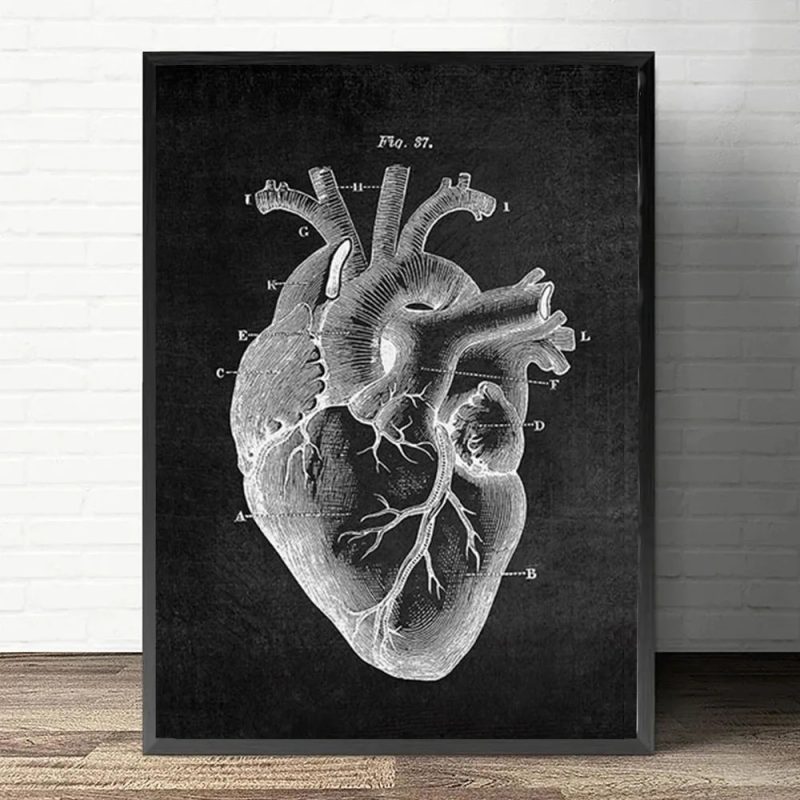 Anatomy Art White and Black Medical Canvas Painting Flower Organ Cardio Lung Poster Printing Education Hospital Home Decor - Image 17