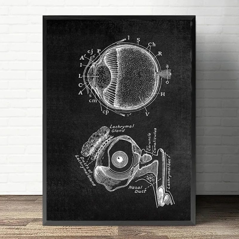 Anatomy Art White and Black Medical Canvas Painting Flower Organ Cardio Lung Poster Printing Education Hospital Home Decor - Image 19