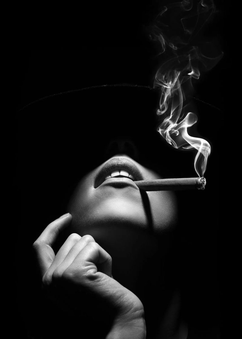 Fashion Black and White Sexy Woman HD Photography Poster Canvas Paintings Wall Art Pictures for Living Room Home Decor Frameless - Image 27
